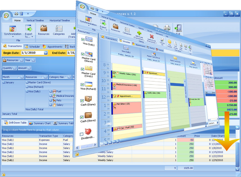 OrgFinances Screenshot